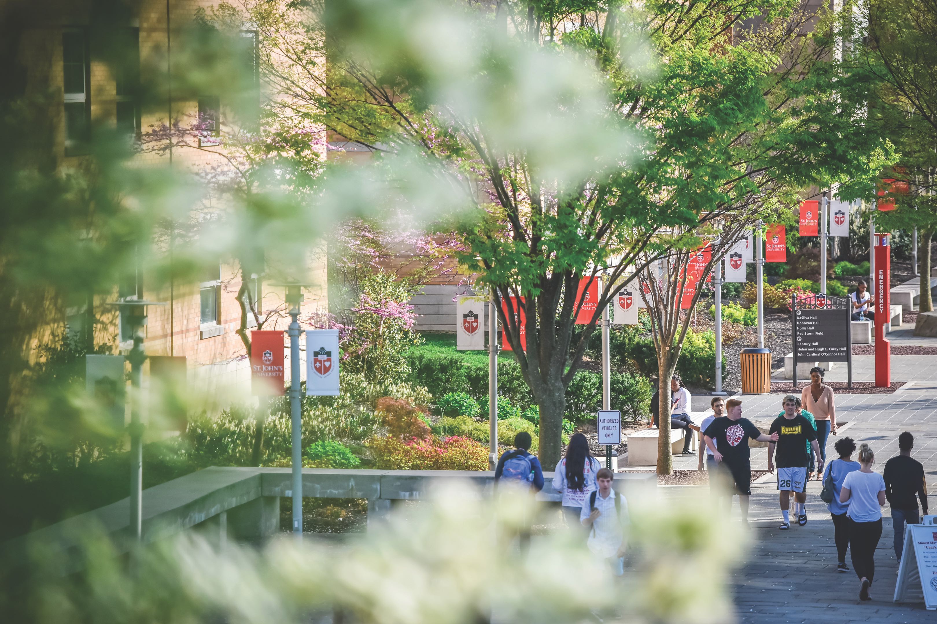 Admission and Aid St. John's University